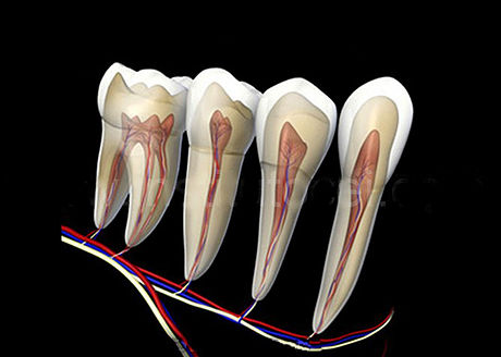 ENDODONCIA